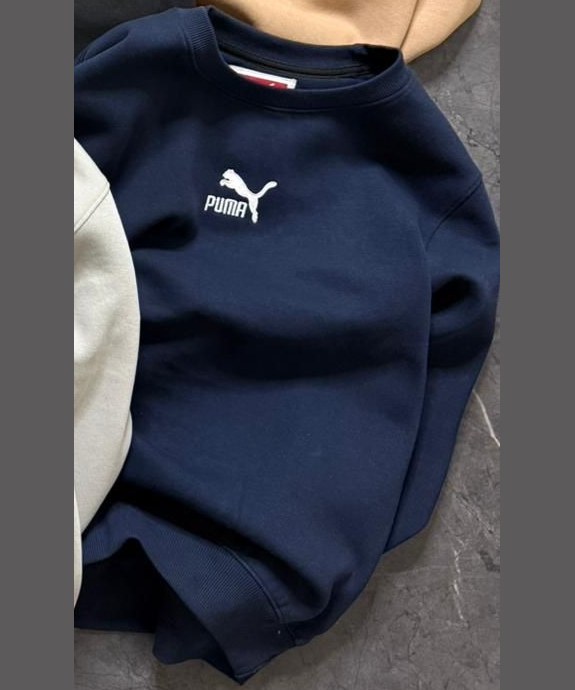 Premium Cotton Fleece Sweatshirt (GSM 350) — view 12